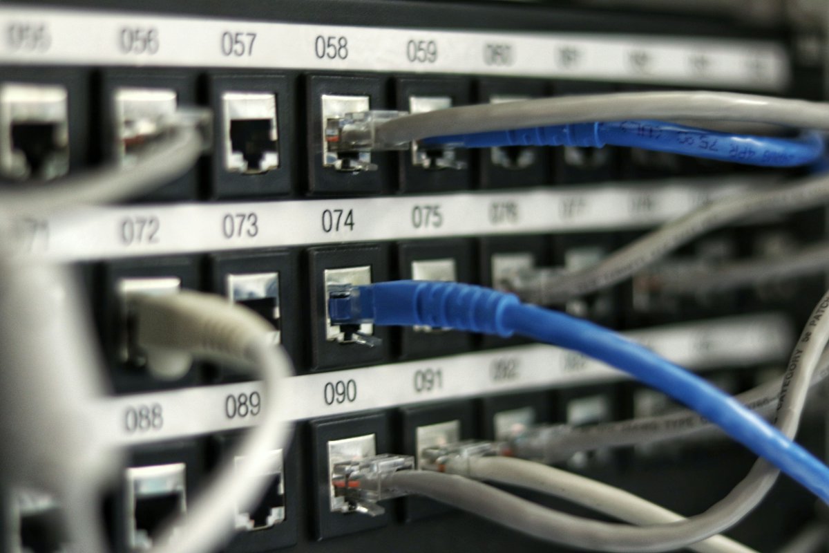 Ethernet cables plugged into a numbered patch panel.